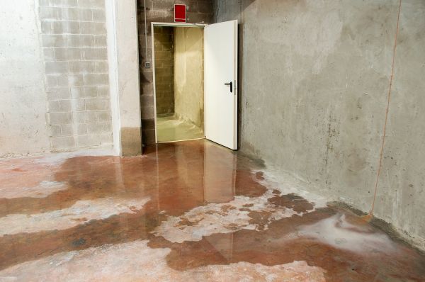 Cost of Wet Basement Repair in Grand Blanc
